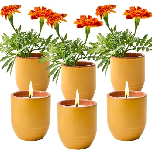 Modern Sprout Garden Vibes - 6 Oz Soy Candle Planter - Patio Goals - 3-Pack