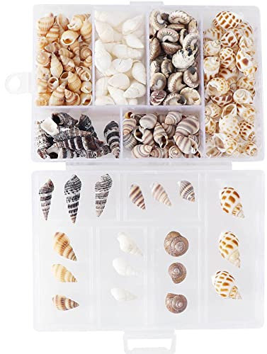 100 Pcs 6 Styles Muscheln,Deko Muscheln zum Basteln Muscheln Zum Basteln Conch Ohne Loch Ocean Beach Muschel Deko Schneckenhäuser Zum Basteln,für Armbandschmuck,Kunst,Heimtextilien
