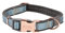 Rogz Dog Urban Classic Hundehalsband, Türkis mit Mond, Größe M