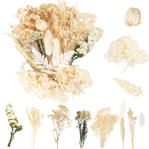 LAUMOE Fleurs Séchées, Fleurs Sechees Naturelles Fleur Séchée pour Bougies Fleurs Sechees Fleurs Séchées Vrac Fleur Sechees Decoration pour Bricolage Résine Epoxyn Art DIY Artisanale Scrapbooking