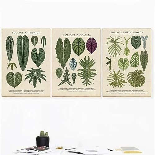 SHUYINGHENGXIE Blatt Pflanze Leinwand Gemälde Poster und Drucke Wandkunst Bilder für Wohnzimmer Dekoration Kein Rahmen-50x70cmX3