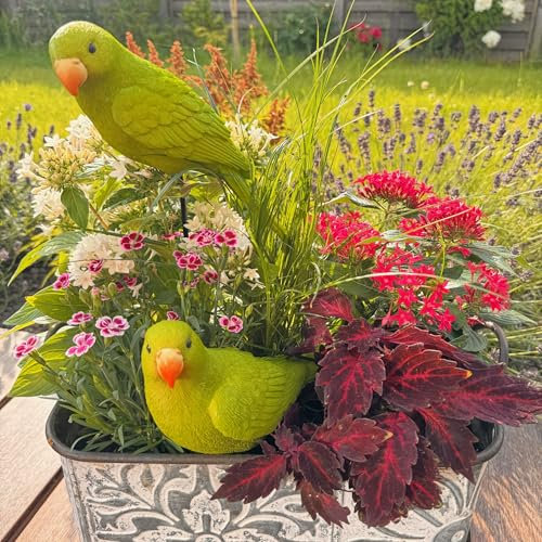 Online Fuchs 2 Dekofiguren Papagei, Amazonen - Gartenfiguren für draußen, Beetstecker Vogel, Vögel - Wetterfest