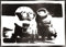 moreno-mata Echtes Handgemachtes Graffiti Mini... Filme Aesthetic Poster & Kunstdrucke Bilder Ich – Einfach Unver... Plakat Handmade Deko Wandbilder Wohnzimmer Wanddeko Geschenke für Männer und Frauen