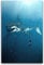 JEYUAN Bild Auf Leinwand 40 * 60cm Senza Cornice Immersioni con i poster Megalodon Arredamento per la casa Soggiorno decorativo Camera da letto