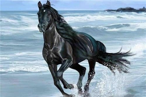 Black Horse, 5000 Piece Wooden Puzzle, Jigsaw Puzzle Game