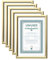 IDEAL TREND 2er 3er 5er 10er Pack Dokument Bilderrahmen 21x29,7 DIN A4 Urkunde Foto Rahmen: Farbe: 5er Pack Gold