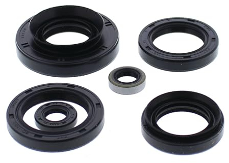 Vertex 822881 Oil Seal Kit