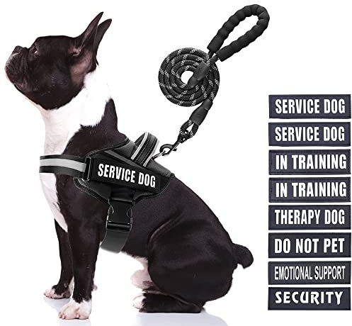 Service Dog Hundegeschirr, Geschirr und Leine, Animire in Trainings-Hundegeschirr mit 10 Hundeflicken, reflektierende Hundeleine mit weich gepolstertem Griff für kleine, mittelgroße und große Hunde