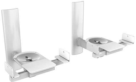 RICOO Support Mural pour Enceinte LH023-S Universel Fix ation Murale inclinable orientable réglable Haut-Parleur Support Enceintes TV 2 Pieces Argent