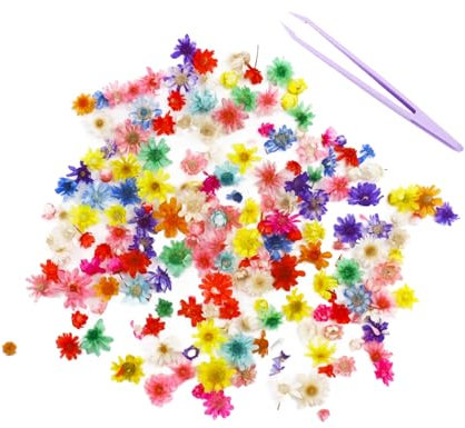 Caelura 140 Trockenblumen zum Basteln ,Trockenblumen Klein,Getrocknete Blumen, Mini-Naturblumen mit Plastikpinzette für DIY Nagel, Epoxid, Kerze, Scrapbooking