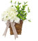 Erhabener Rattan-Blumenkranz mit luxuriösen Seidenblumen, die Türen für ein warmes Willkommen immer verschönern, weiße Blume