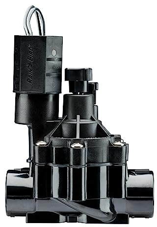 Rainbird CPF075 Ventil mit Durchflussregelung 0,75 Zoll