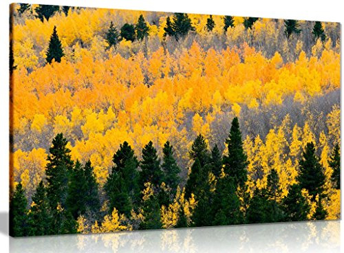 Trees Yelllow Autumn Leaves Nature Canvas Wall Art Picture Print (24x16in)