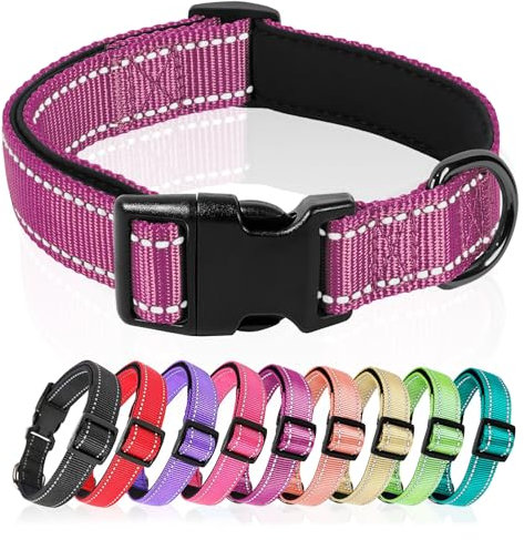 HEELE Hundehalsband, Hundehalsband aus Nylon, Reflektierend Halsband Hund mit Weich Neopren Gepolstert für Welpen Kleine Mittel Große Hunde Läng Einstellbereich 20-30 cm, Magentarot, XS