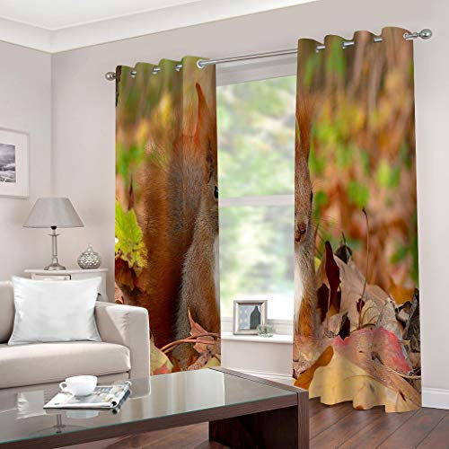FYRHLH Gardinen Vorhang Blickdicht Ösen Wälder & Eichhörnchen Gardinen Blickdicht mit ösen 2er Set Akustik UV Schutz Vorhang Deko Wohnzimmer Schlafzimmer Kinderzimmer Größe:B280 x H245cm