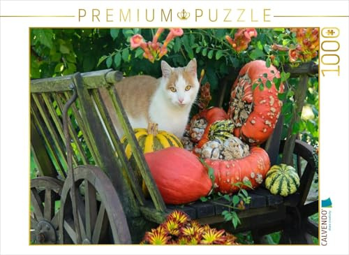CALVENDO Puzzle Katze in einem Leiterwagen mit Kürbissen | 1000 Teile Lege-Größe 64 x 48 cm Foto-Puzzle für glückliche Stunden