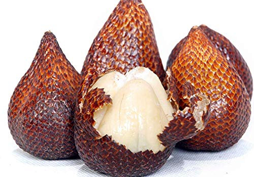 Seeds germination seeds: 10 Salacca/Zalacca/Salak/Schlange fruchtsamen Exotische Aus Früchte Thaïlande