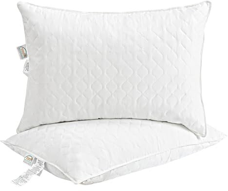 Oreillers en Plumes d'oie 50x70cm Lot de 2, Remplissage Duvet et Plumes d'oie, Oreiller de Lit pour Dormir, Lavable, Oeko-Tex, Blanc