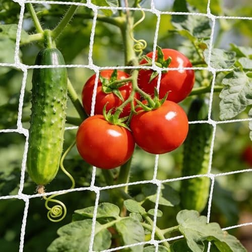 Filet pour Plantes Grimpantes, 1.5 x 4.5M Support Plante Grimpante Filet Jardin Potager, Filet Plante Grimpante Exterieur, Treillis Jardin Filets pour Récolte de Concombres, Tomates, Haricots, Fleurs
