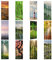 Bilderwelten Holzbild Landschaften & Wälder - Hochformat 5:2 Romantischer Waldweg 120x48cm