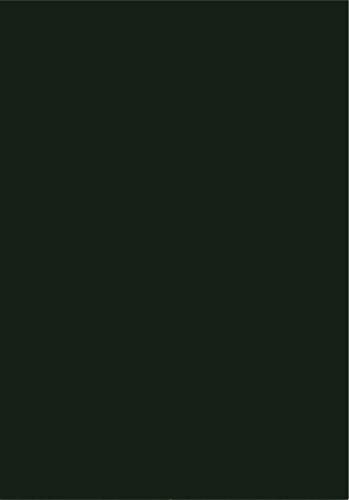 Generisch 10 Moosgummi-Platten 20x30 cm - Farben nach Wahl (schwarz)