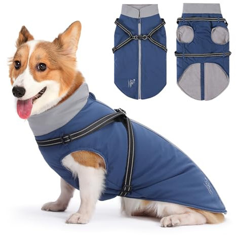 PETTOM Hundemantel Winter Mit Geschirr - Wasserdicht Warm Winterjacke Fleece für Große Mittelgroße Hunde (Blau, 2XL)