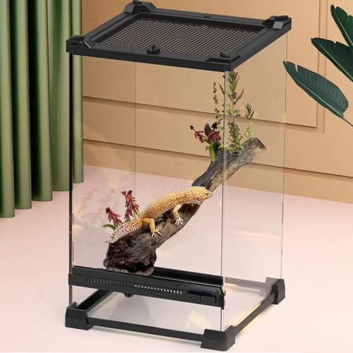 Crevyteg Terrarium aus Glas für Reptilien, Eidechsenhörnchen, mit Belüftungsöffnungen, Anti-Fluchttür, Reptilien-Futterbox für Haustiere, Schlangen, Eidechsen, Hörner, Frosch, Käfer, 20 x 20 x 30 cm