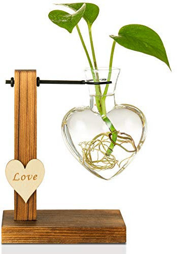 Kingbuy, vaso in vetro idroponico vintage da scrivania per piante, terrario, vaso per piante, vaso per piante idroponiche con supporto in legno rétro per casa e giardino, Heart （1 Bulb Vase）