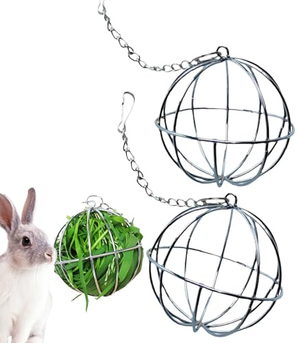 Hay Feeder Ball, 2 Stück Edelstahl Bunny Gras Kugel Kauspielzeug Häschen