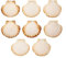 Finoly Coquilles Saint Jacques Naturelles Pack de 4/8/12/16 Unités | Coquille St Jacques pour Cuisson pour Cuisine Décoration Artisanat DIY (8)