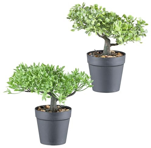 2er Set Kunstpflanzen Bonsai Buchsbaum und Teeblatt 20cm im Deko-Topf aus Kunststoff