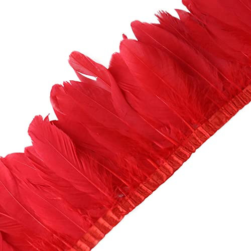 ihreesy Feder Fringe Trim Borte, 2m Federborte mit Satinband Federbesatz Feder Fransenbesatz Gänsefedern zum Basteln Federbesatz Fransen Flauschige Federfransen zum Nähen Kostüm Dekoration,Rot