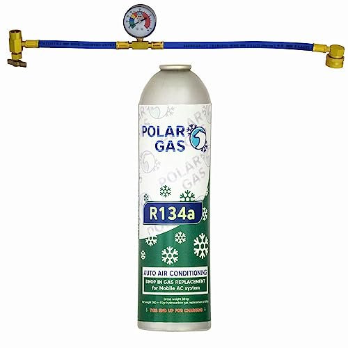 1GCA Car Aircon AC 1pc R134a Compatible Refill Recharge Regas Gas 584gr + Hose Gauge Kit Clima Accessories DIY filler tube
