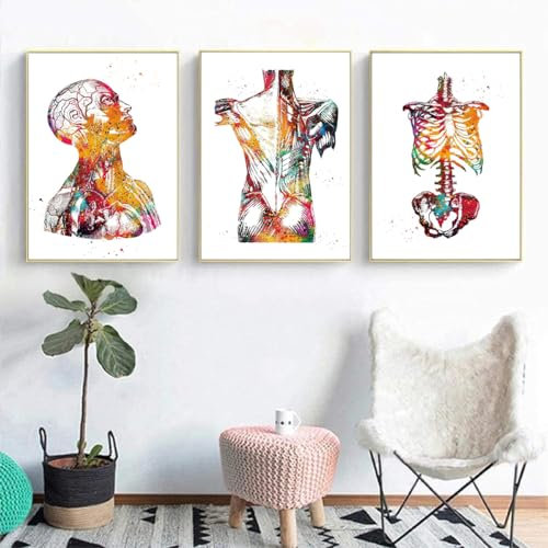 Anatomie 3er-Set - Herz, Gehirn, Menschliche Anatomie Poster für Krankenhaus und Klinik - Wandkunst Medizin Bilder ohne Rahmen (B, 40x60cm**3)