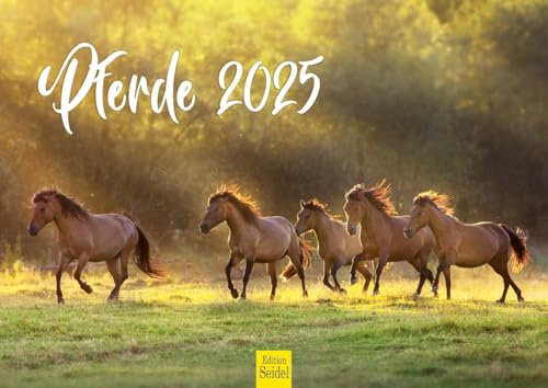 Edition Seidel Premium Kalender Pferde 2025 Format DIN A4 Wandkalender Pferdekalender Tiere Fohlen Stute Hengst Pony