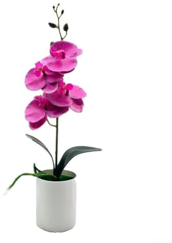 Realistische künstliche Phalaenopsis-Orchidee, Bonsai, mehrere Farben zur Auswahl, Violett