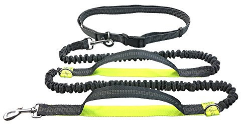 Jogging Leine Hundeleine Freihandleinen für Hunde Leine elastisch Sport Laufgürtel, Ideal zum Freihändigen Joggen, Spazieren und Wandern, Elastische Bungee-Leine Reflektierende Nähte