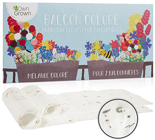 OwnGrown Mélange de fleurs de balcon - Kit de graines de qualité supérieure pour 2 bacs à fleurs - Graines de plantes de balcon à croissance facile, fleurs d'été et graines de fleurs sauvages