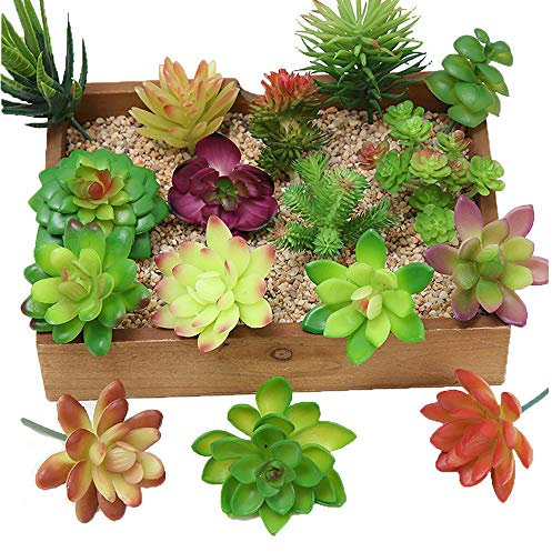 Kalolary 16 Unidades de Plantas suculentas Artificiales, Mini decoración sin manchar, Tallos Mixtos de Plantas Falsas, a Granel, Varios Picks cumpleaños, decoración del hogar, Pared Interior, jardín,