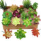 Kalolary Lot de 16 plantes succulentes artificielles - Mini potted Decor - Potences mixtes - Faux plantes en vrac - Divers pics - Décoration d'intérieur - Décoration murale intérieure - Jardin - Hôtel