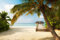 VLIES Fototapete-SÜDSEE-(PF5136)-Palmen Strand Meer Urlaub Reise Karibik Südsee Wandbild Wandtattoo Poster Dekoration