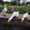 Ente aus Kunstharz, perfekt für Gartendekoration, geeignet für verschiedene Außenbereiche (#3)