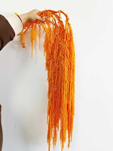 Vid de glicina de amaranto preservada seca para decoración de bodas, ramo floral colgante para pared del hogar o centro de mesa