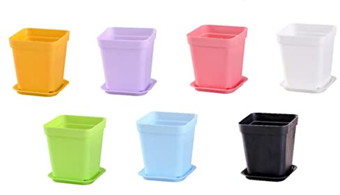 Unomor Blumentöpfe 14st Schwarzer Pflanzer Starter Töpfe Pflanzgefäße Für Freilandpflanzen Mini- Garten Topf Weißes Tablett Mini Blumenerde Topf Vase Draussen Kleiner Behälter