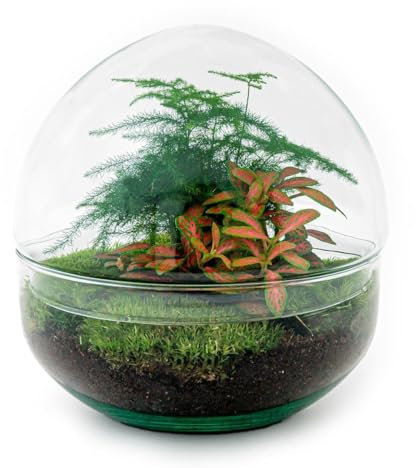 Flaschengarten Dome - Glaskugel - DIY-Pflanzenterrarium - 20 cm hoch - incl. Rechen und Schaufel