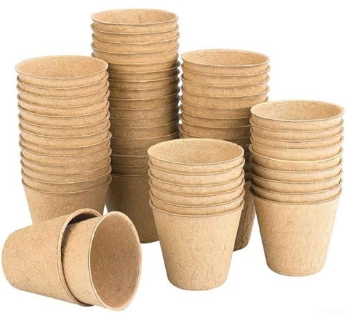 Lot de 50 pots de fleurs biodégradables en pâte à papier écologique pour jardinage et entretien des plantes (6 x 6 cm)