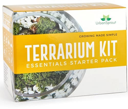 Plant Terrarium Kit for Succulents & Cacti - Includes Cactus Soil, Moss, Gravel & Guide - DIY Miniature Garden Gift Set for Him & Her - Grow Your Own Indoor Gardening Kit