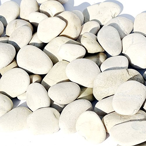 MGS SHOP Dekokies Zierkies Deko DIY Kies Granulat Splitt - Farbe wählbar (5 kg, cremeweiß 20-30)