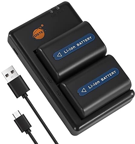 DSTE 2PCS NP-FM55H NP-FM50 (2300mAh/7.4V) Battery Charger Set Compatible for Sony NP-FM30,NP-FM51,NP-QM50,NP-QM51Battery,CCD-TR108,CCD-TR208,CCD-TR408,CCD-TR748,CCD-TRV106,CCD-TRV107,CCD-TRV108 Camera