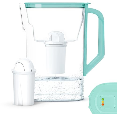 Wessper Water filter Jug 2.7L | Replacement for Aquaphor Standard, Brita Classic, Dafi Classic filter | for refrigerator door with manual filter wear indicator | 1 water filter AQUACLASSIC – Mint
